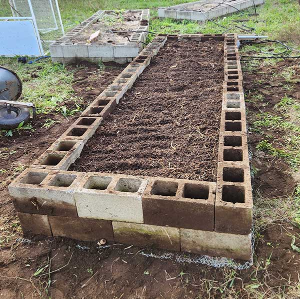 Underground Chicken Wire