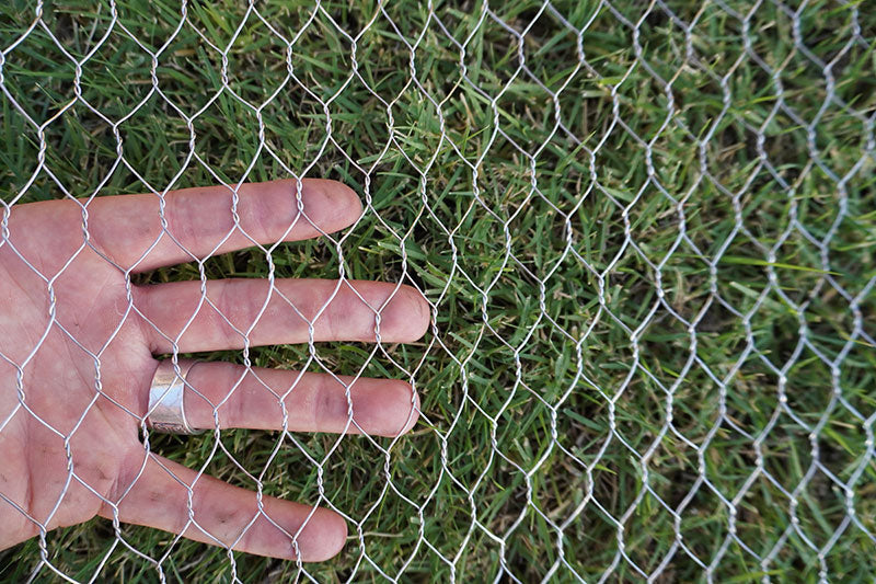 Gopher Wire for Raised Beds