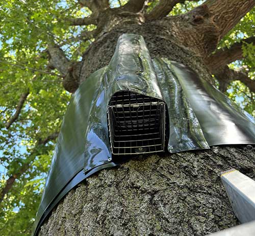 Wrap Around Squirrel Baffle for Trees