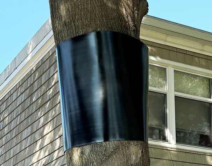 Wrap Around Squirrel Baffle for Trees